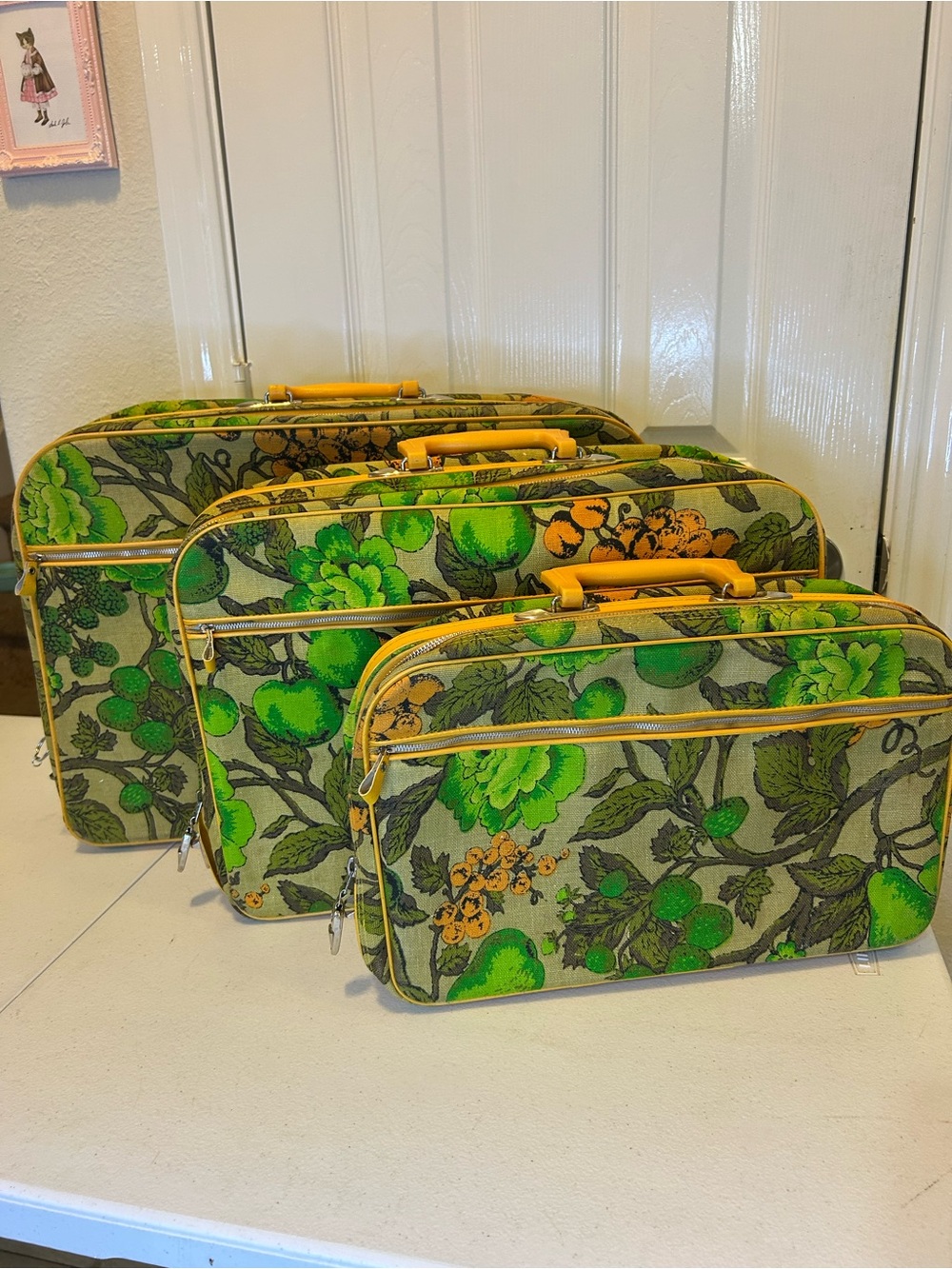 Original Penguin Travelers Set of 3 Nesting Suitcases